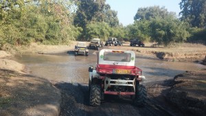 Atv's in the Galilee